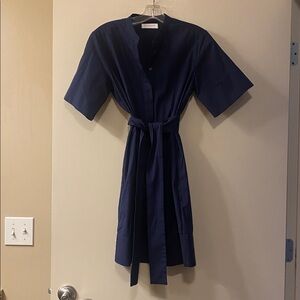 Everlane Classic Navy Shirt Dress
